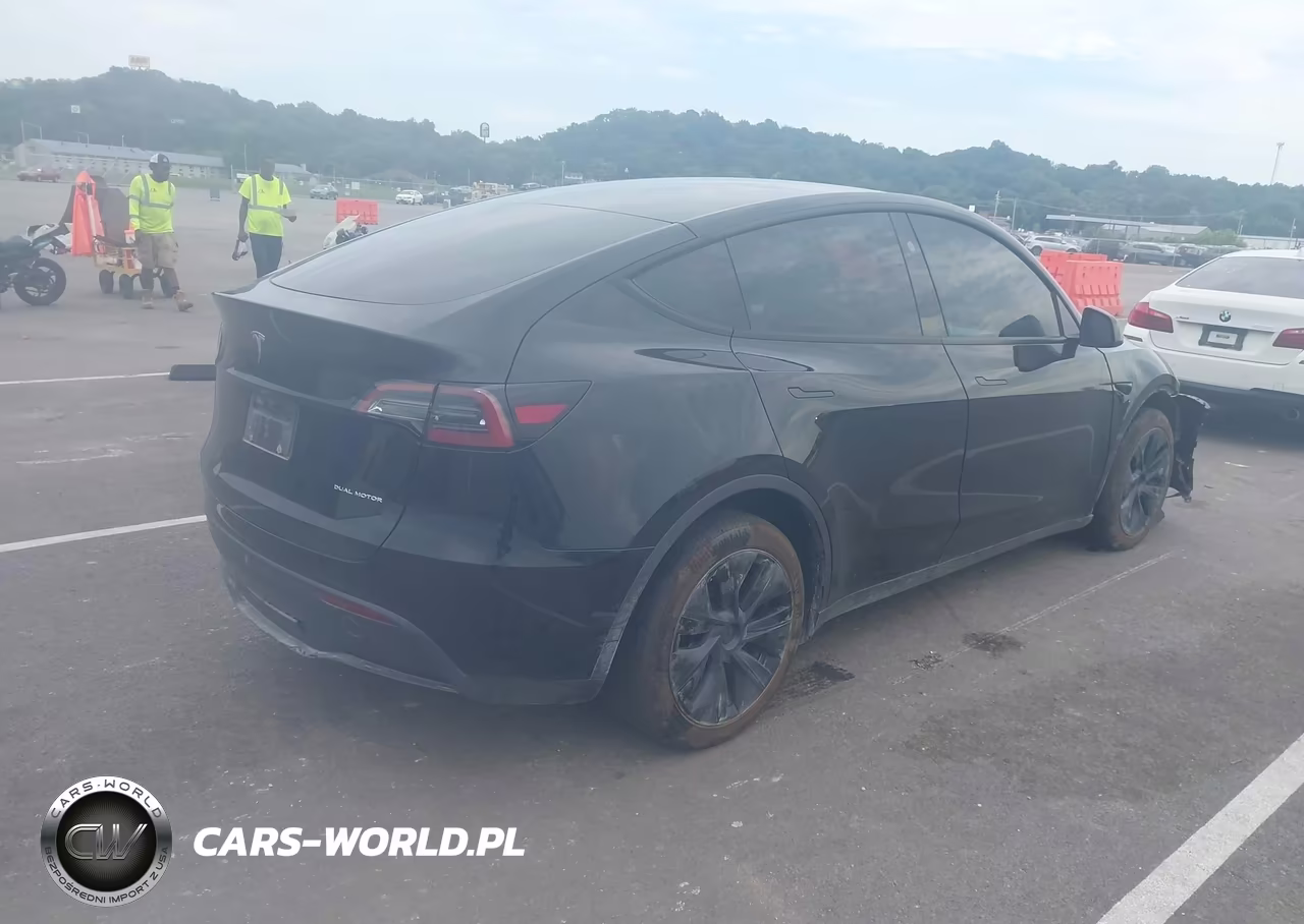 2025 Tesla Model Y Long Range Dual Motor All-Wheel Drive VIN:7SAYGDEE2SF222637 - 4