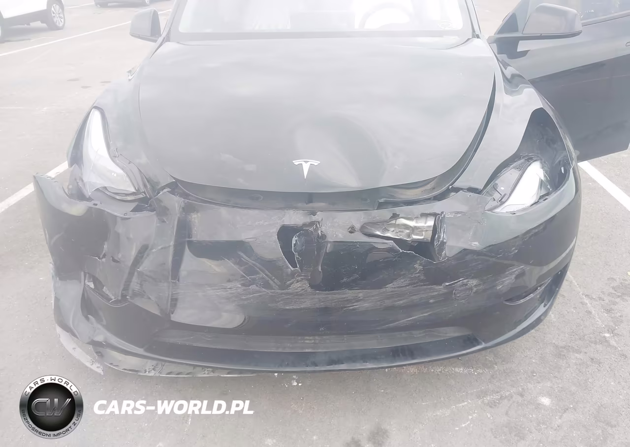 2025 Tesla Model Y Long Range Dual Motor All-Wheel Drive VIN:7SAYGDEE2SF222637 - 6