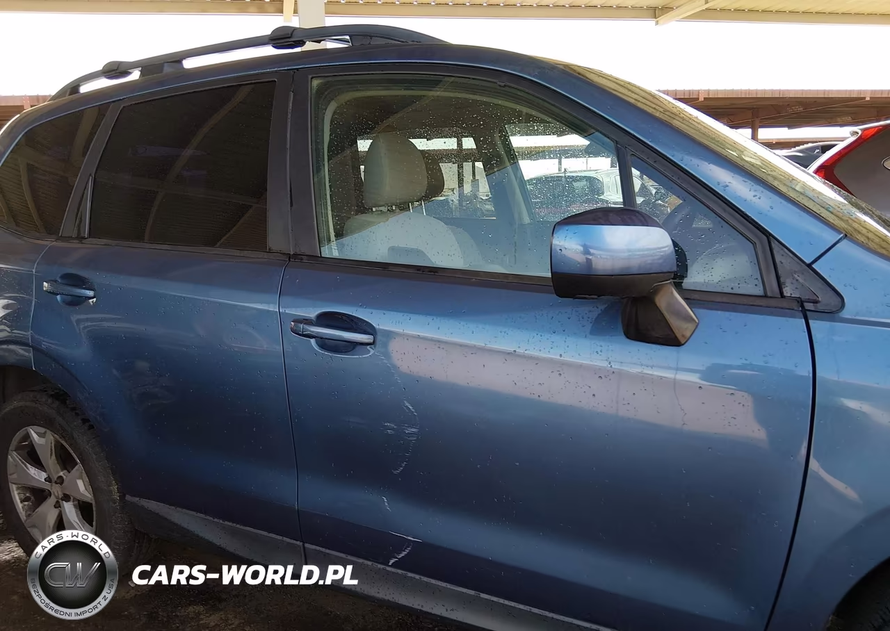 2016 Subaru Forester 2.5I Premium VIN:JF2SJAFC5GH474875 - 13