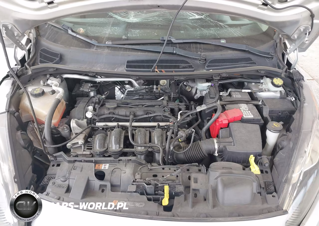 2016 Ford Fiesta Se VIN:3FADP4EJ9GM127378 - 10