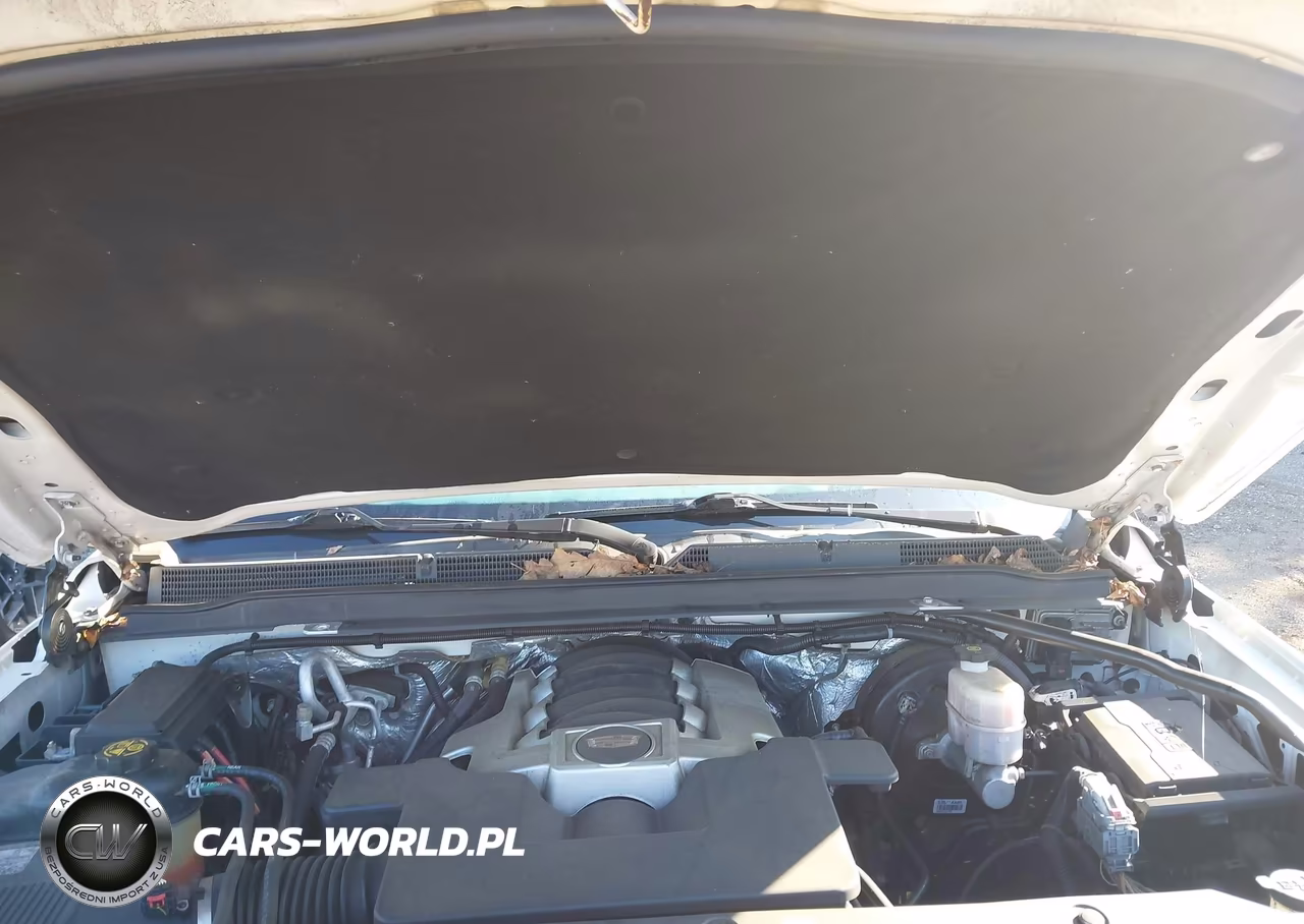 2018 Cadillac Escalade Luxury VIN:1GYS4BKJ0JR235827 - 10