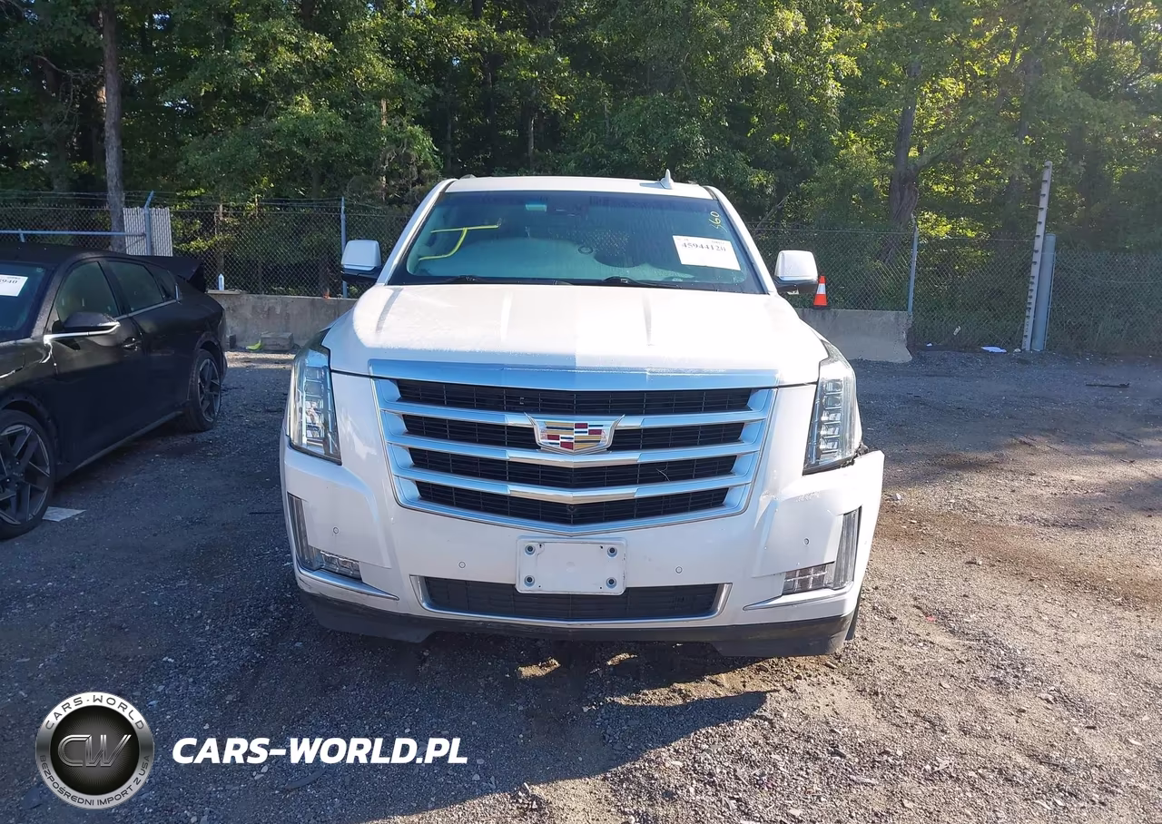 2018 Cadillac Escalade Luxury VIN:1GYS4BKJ0JR235827 - 12
