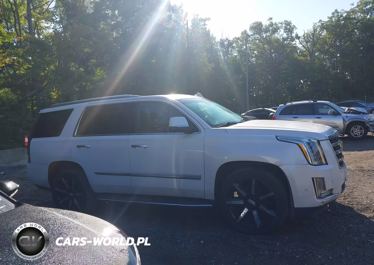 2018 Cadillac Escalade Luxury VIN:1GYS4BKJ0JR235827 - 13