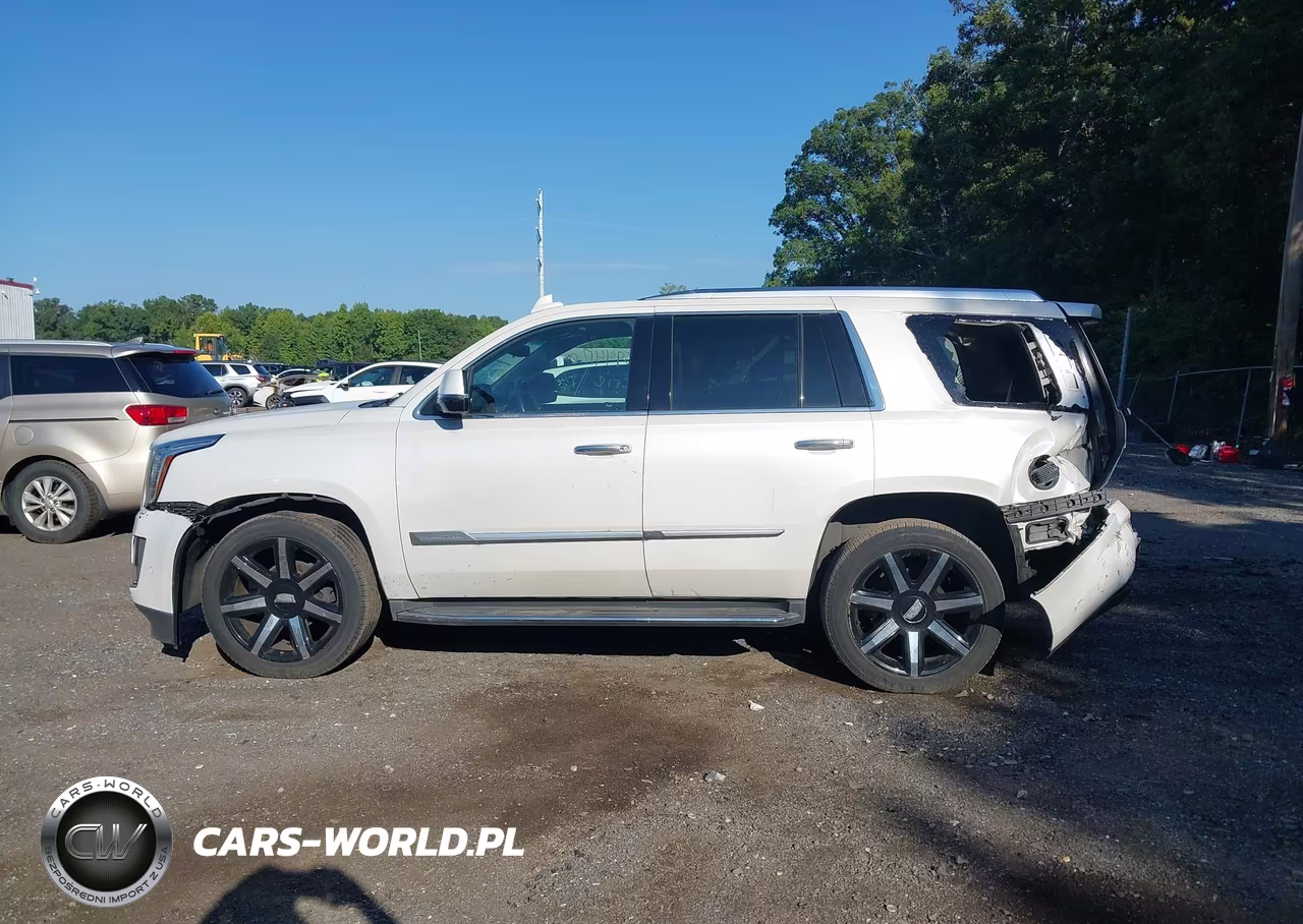 2018 Cadillac Escalade Luxury VIN:1GYS4BKJ0JR235827 - 14