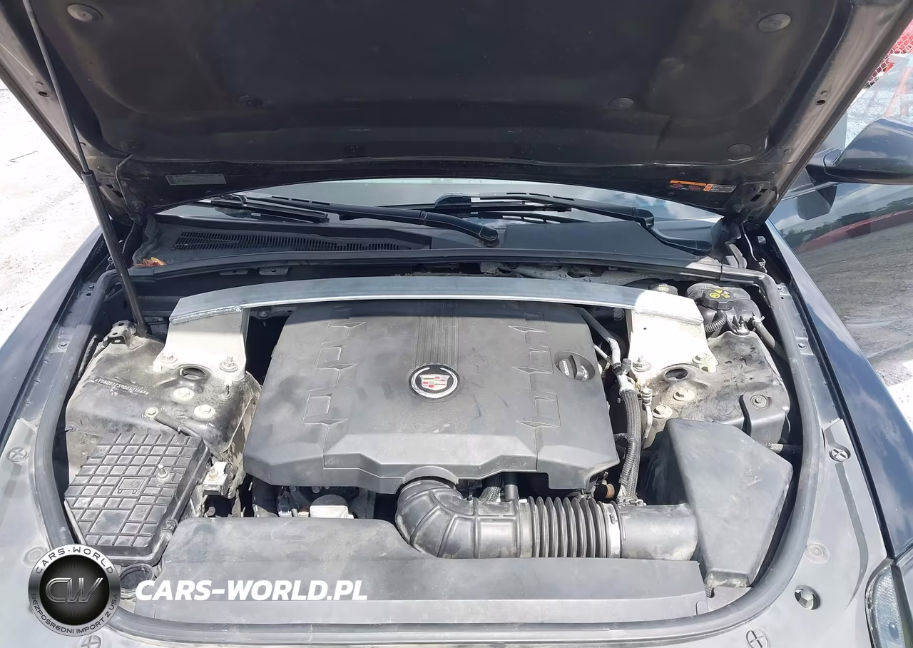 2013 Cadillac Cts Premium VIN:1G6DS1E39D0171164 - 10