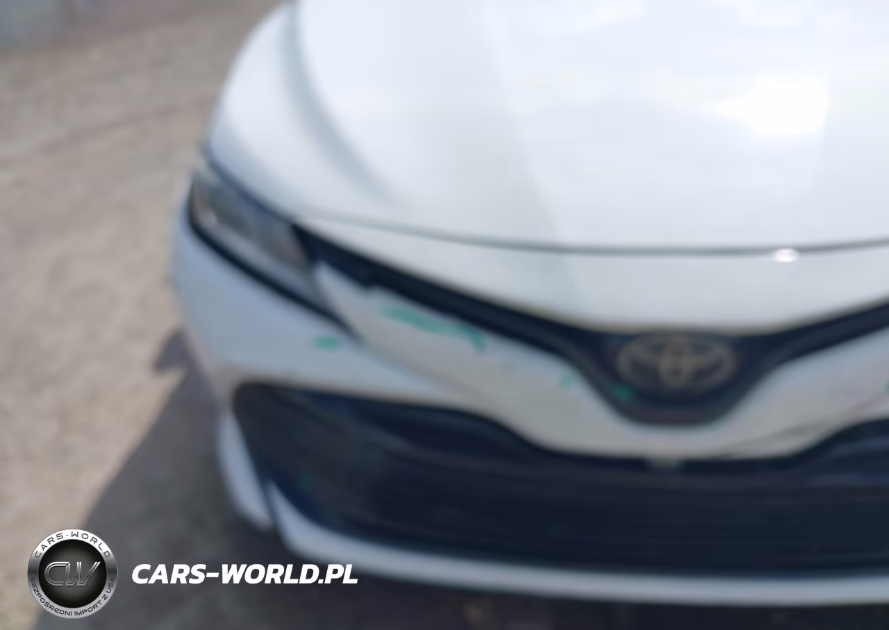 2020 Toyota Camry Le VIN:4T1C11AK8LU993613 - 19