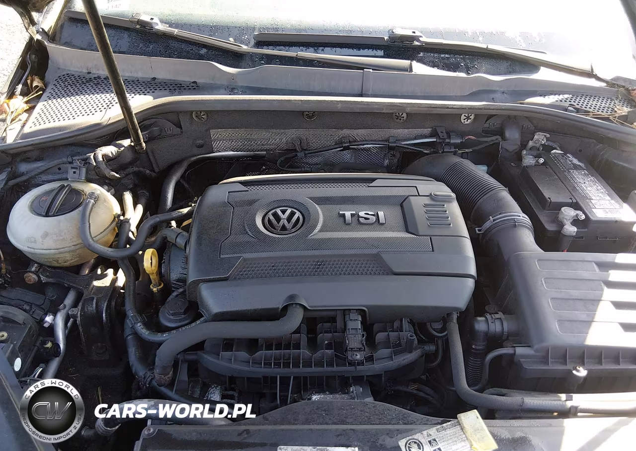 2015 Volkswagen Golf Tsi S 4-Door VIN:3VW217AU3FM050961 - 10