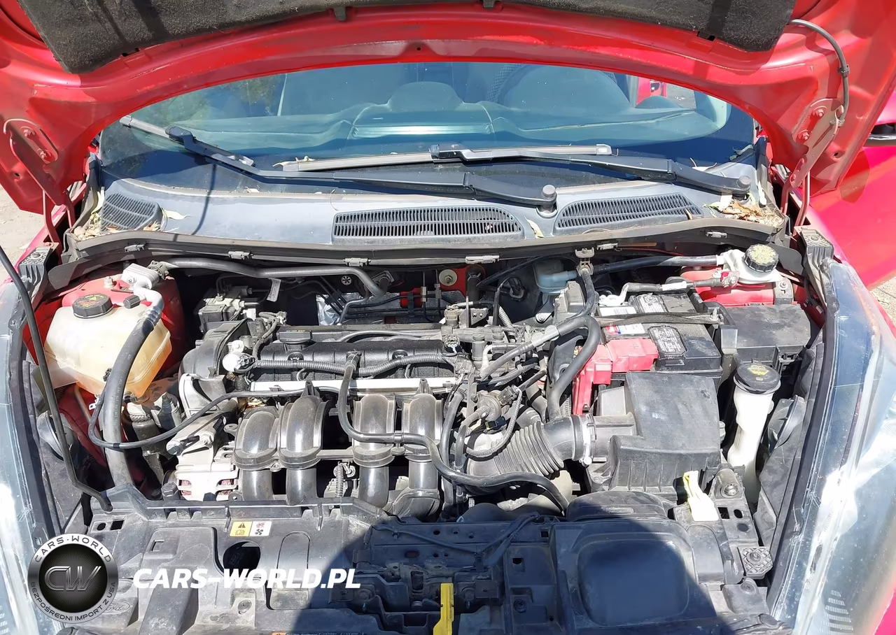 2015 Ford Fiesta Se VIN:3FADP4BJ9FM195859 - 10