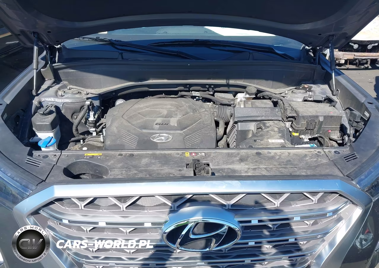 2020 Hyundai Palisade Limited VIN:KM8R54HE5LU171674 - 10