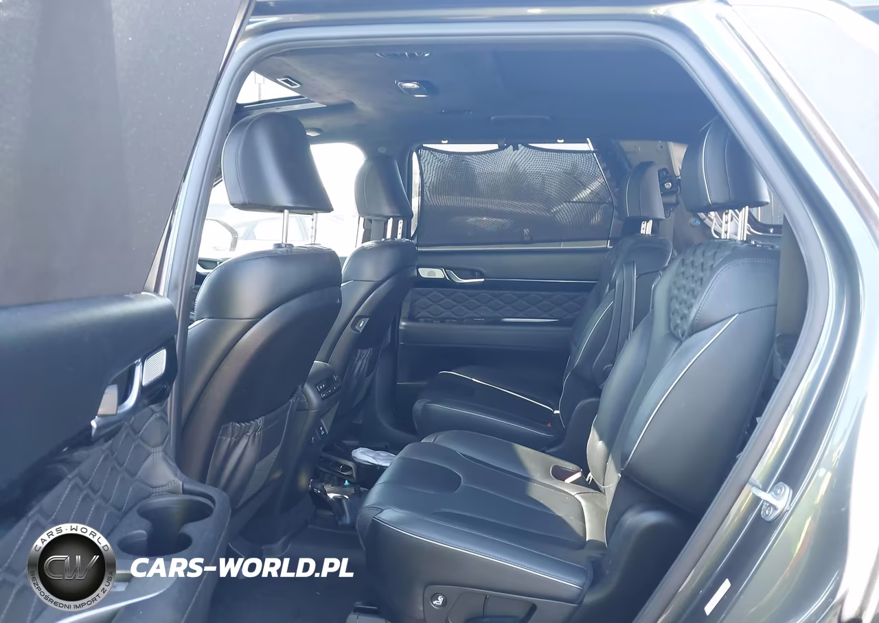 2020 Hyundai Palisade Limited VIN:KM8R54HE5LU171674 - 8