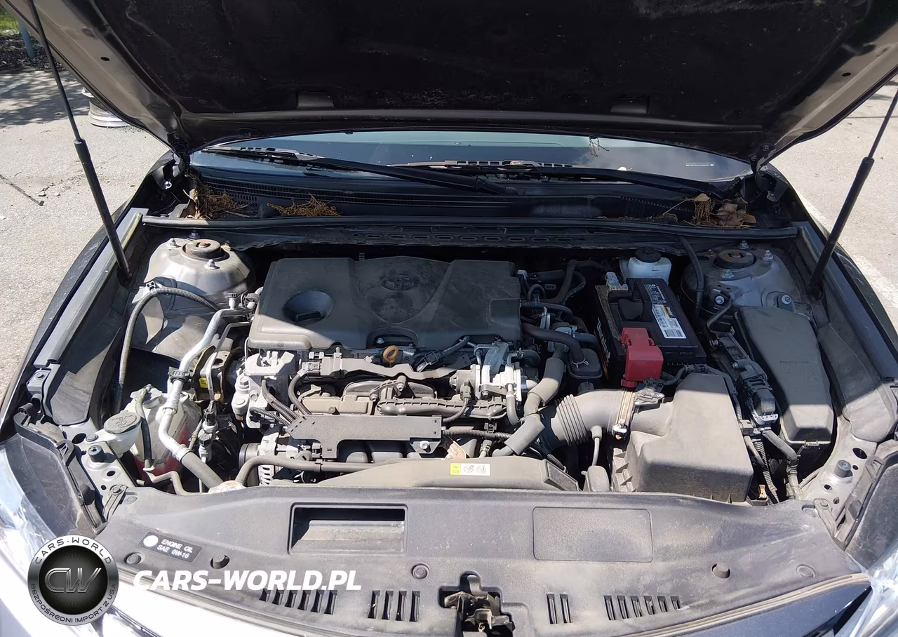 2019 Toyota Camry Xle VIN:4T1B11HK4KU697830 - 10