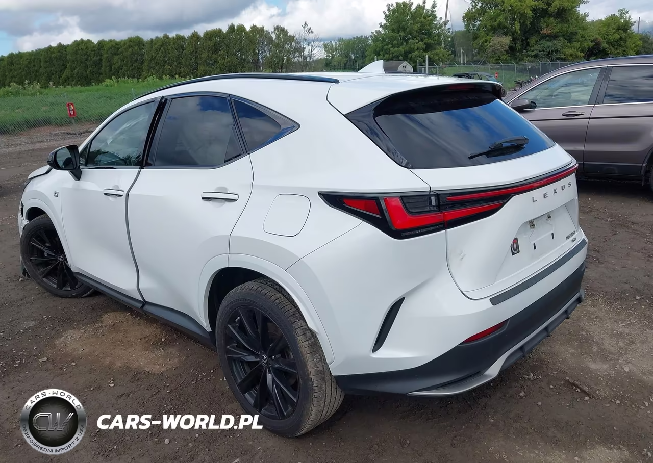 2022 Lexus Nx 350 F Sport Handling VIN:JTJKGCEZ3N5000675 - 3