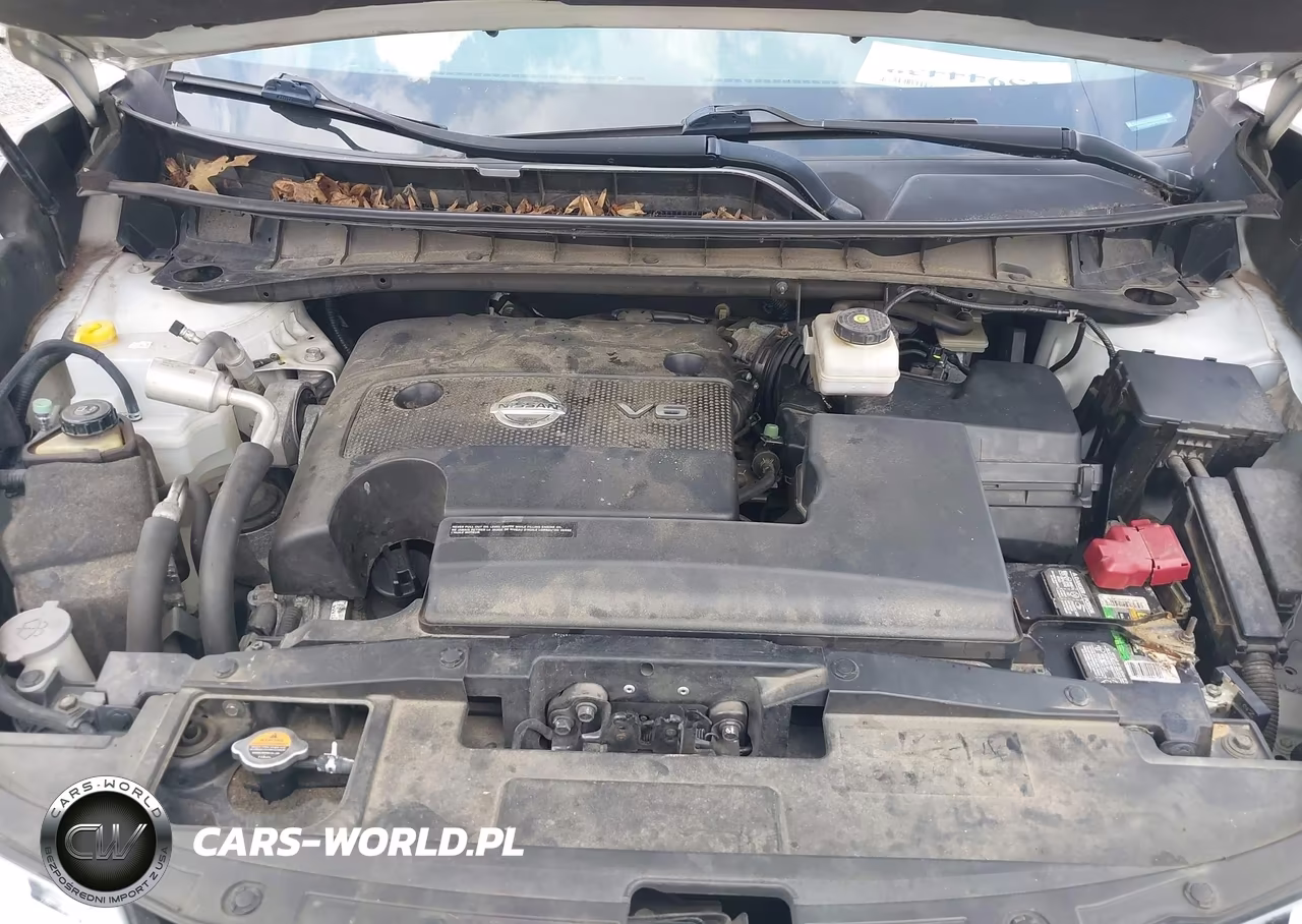 2015 Nissan Murano S VIN:5N1AZ2MHXFN258832 - 10