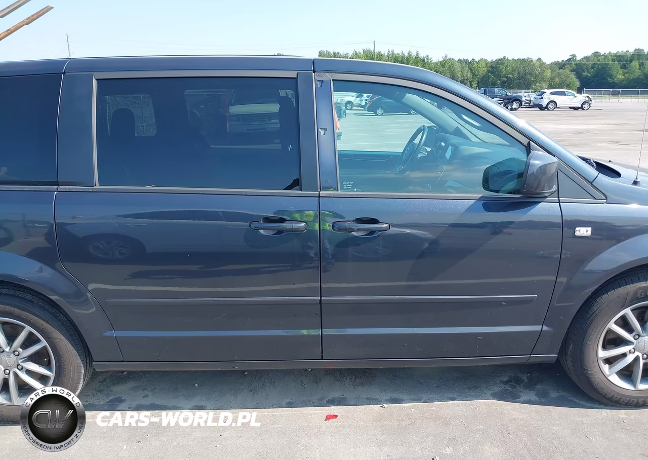 2014 Dodge Grand Caravan Se 30Th Anniversary VIN:2C4RDGBG6ER369473 - 13