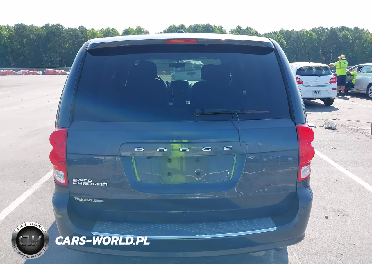 2014 Dodge Grand Caravan Se 30Th Anniversary VIN:2C4RDGBG6ER369473 - 16