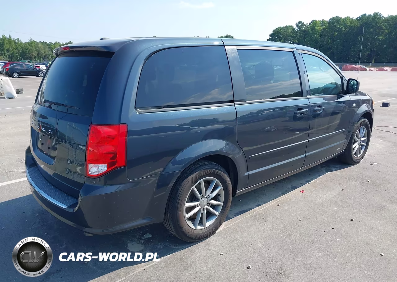 2014 Dodge Grand Caravan Se 30Th Anniversary VIN:2C4RDGBG6ER369473 - 4