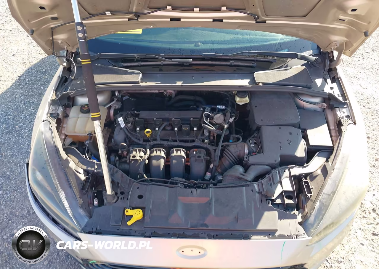 2018 Ford Focus Se VIN:1FADP3F22JL264706 - 10