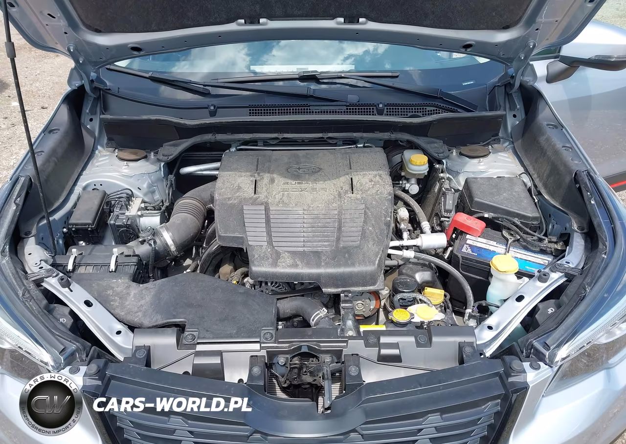 2019 Subaru Forester Sport VIN:JF2SKAPC2KH423063 - 10