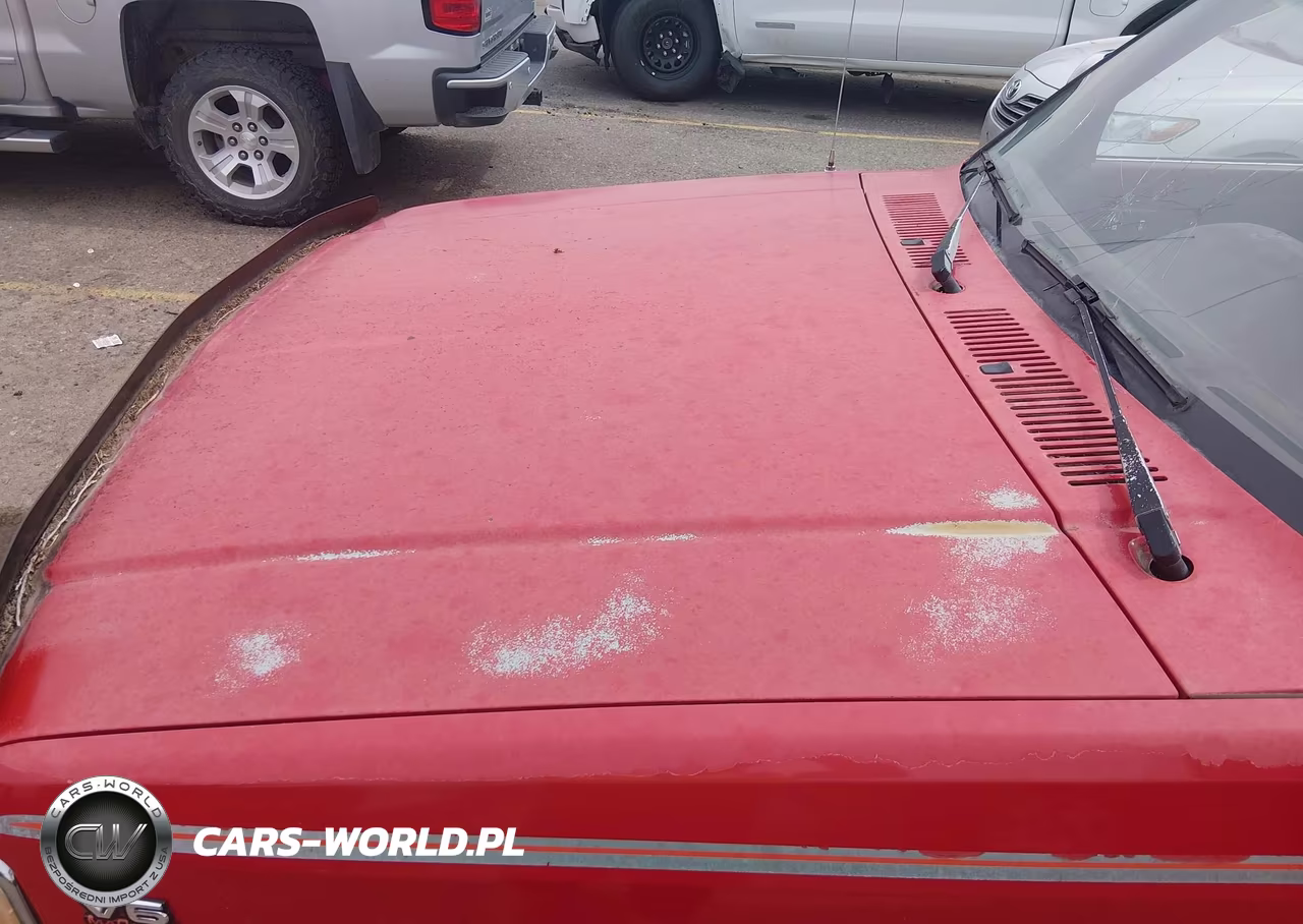 1994 Dodge Dakota VIN:1B7GG23X3RS656399 - 10