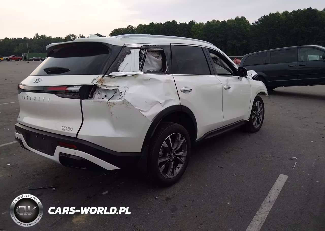 2025 Infiniti Qx60 Luxe Awd VIN:5N1AL1FS2SC359129 - 4