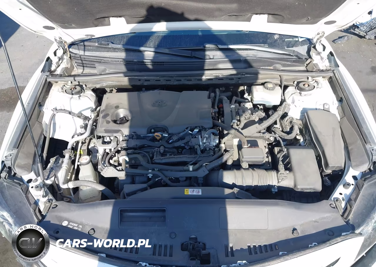 2021 Toyota Camry Se Hybrid VIN:4T1S31AK5MU546423 - 10