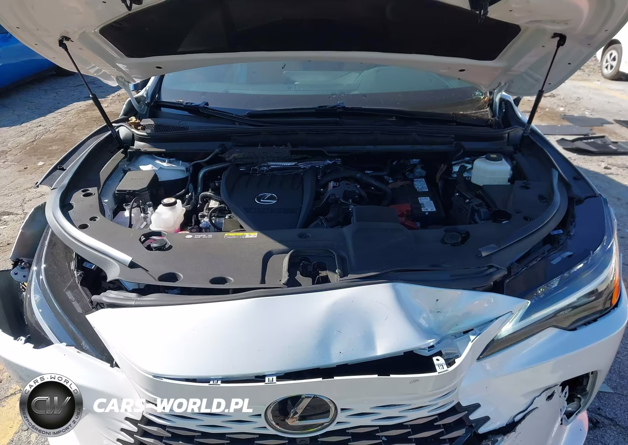 2026 Lexus Rx 350 Premium VIN:2T2BAMBA6TC074032 - 10