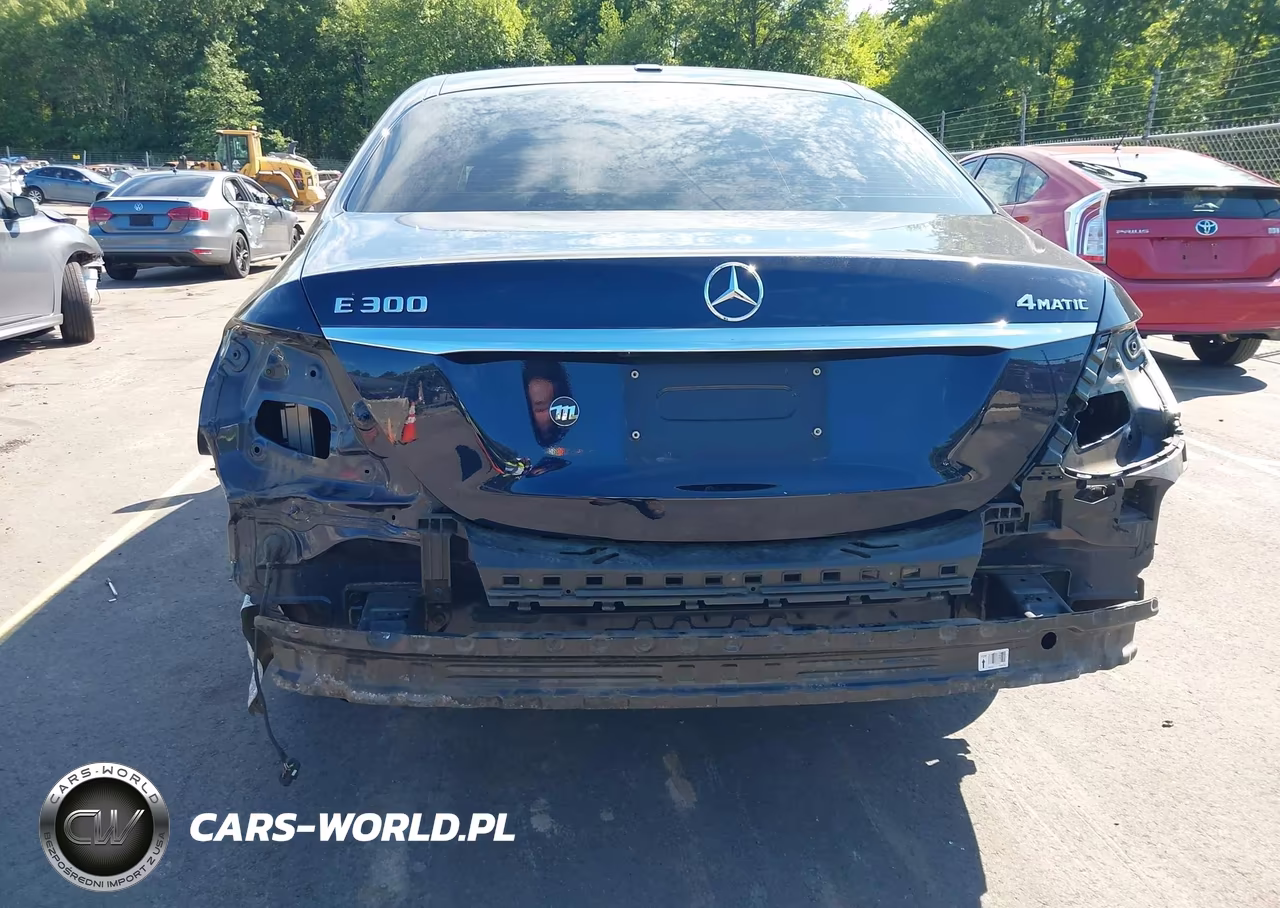 2019 Mercedes-Benz E 300 4Matic VIN:WDDZF4KB4KA596440 - 16