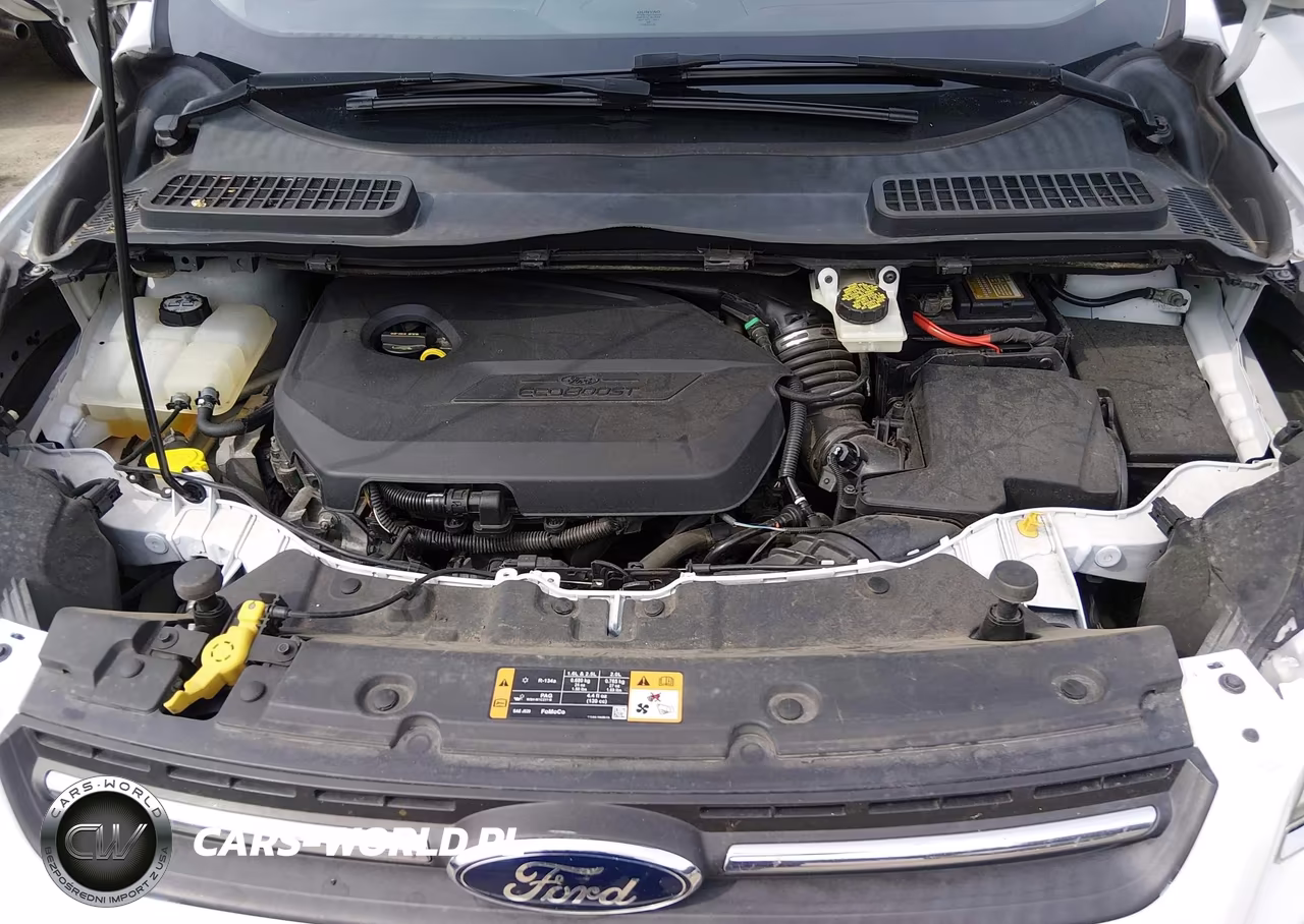 2014 Ford Escape Se VIN:1FMCU9GX3EUD81573 - 10