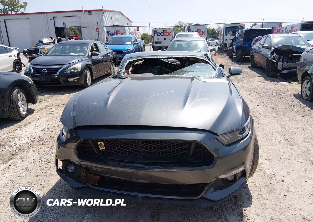 2017 Ford Mustang Ecoboost VIN:1FA6P8TH4H5295534 - 11