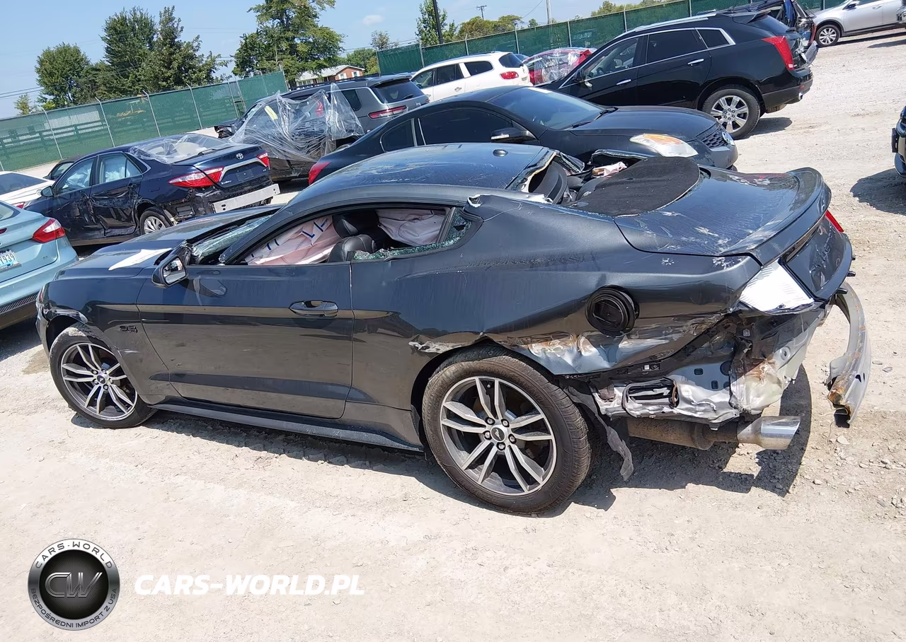 2017 Ford Mustang Ecoboost VIN:1FA6P8TH4H5295534 - 13
