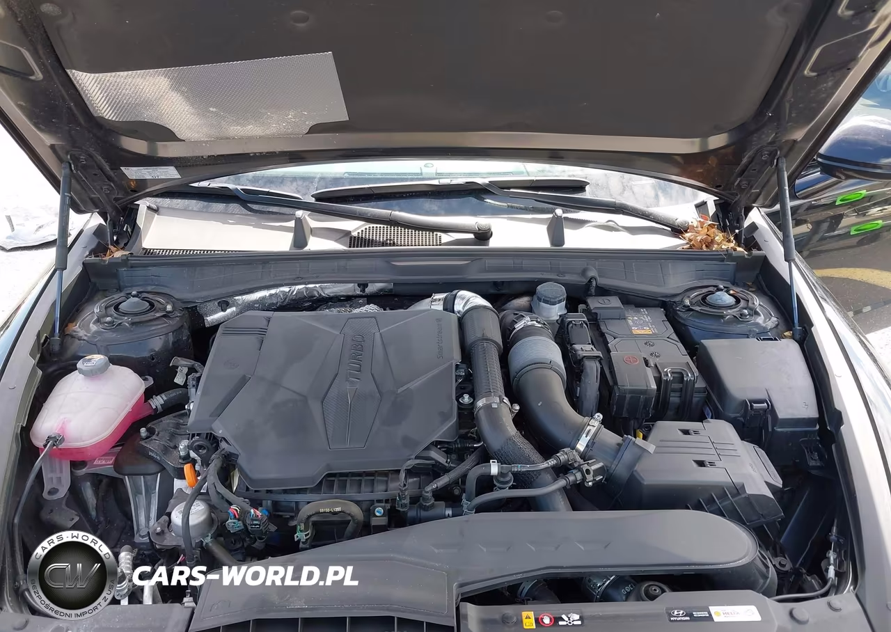 2025 Hyundai Sonata N Line VIN:KMHL54JC7SA522230 - 10