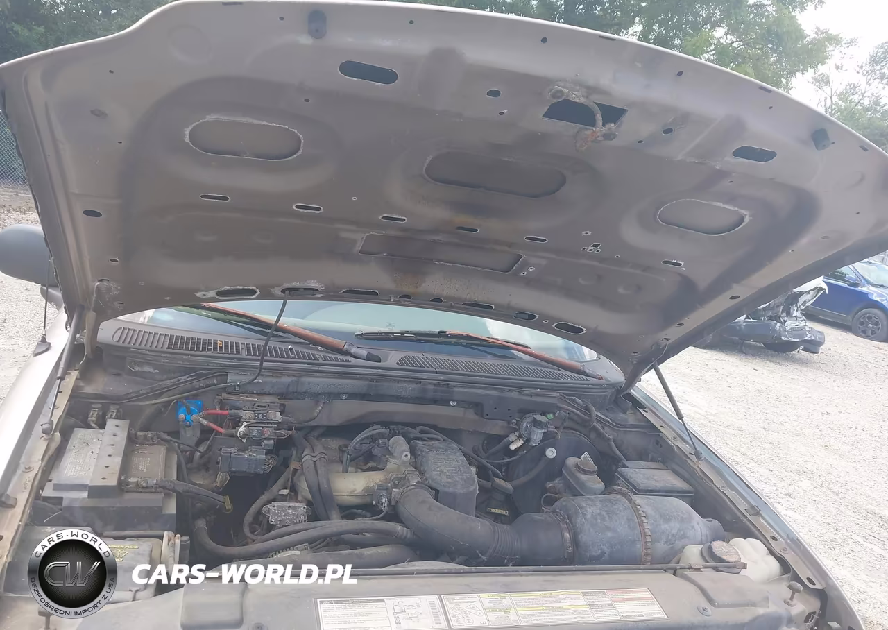 1997 Ford F-150 Standard Standard-Xl-Xlt VIN:2FTDF1825VCA68919 - 10