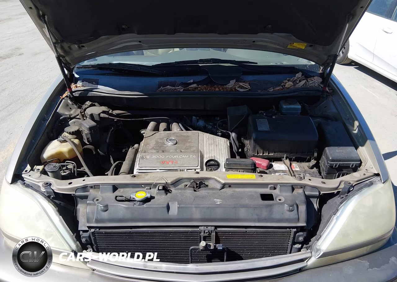 2003 Lexus Rx 300 VIN:JTJGF10U830156097 - 10