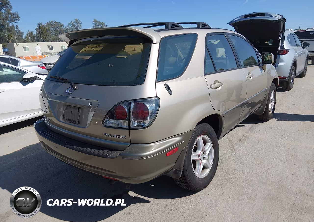 2003 Lexus Rx 300 VIN:JTJGF10U830156097 - 4