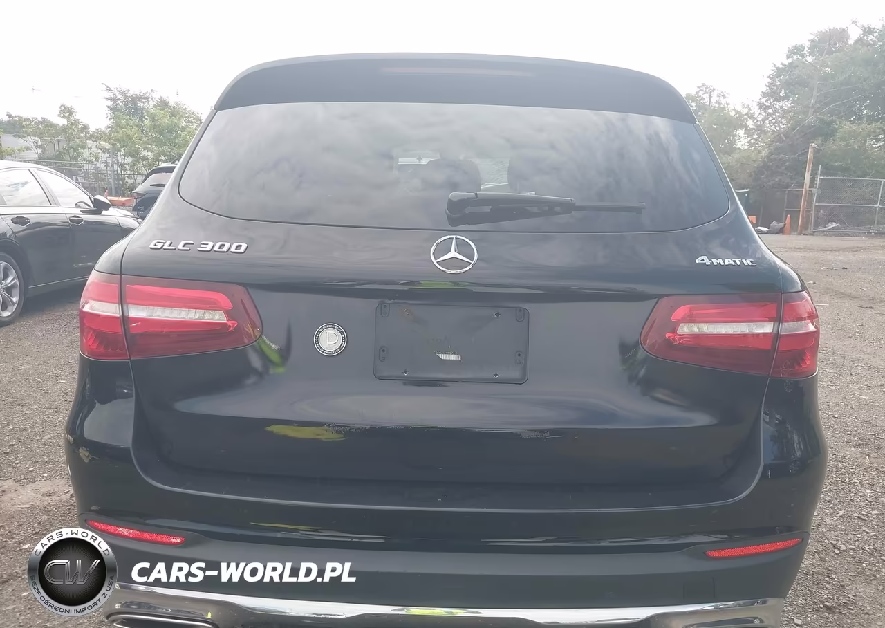 2017 Mercedes-Benz Glc 300 4Matic VIN:WDC0G4KB5HV007715 - 16