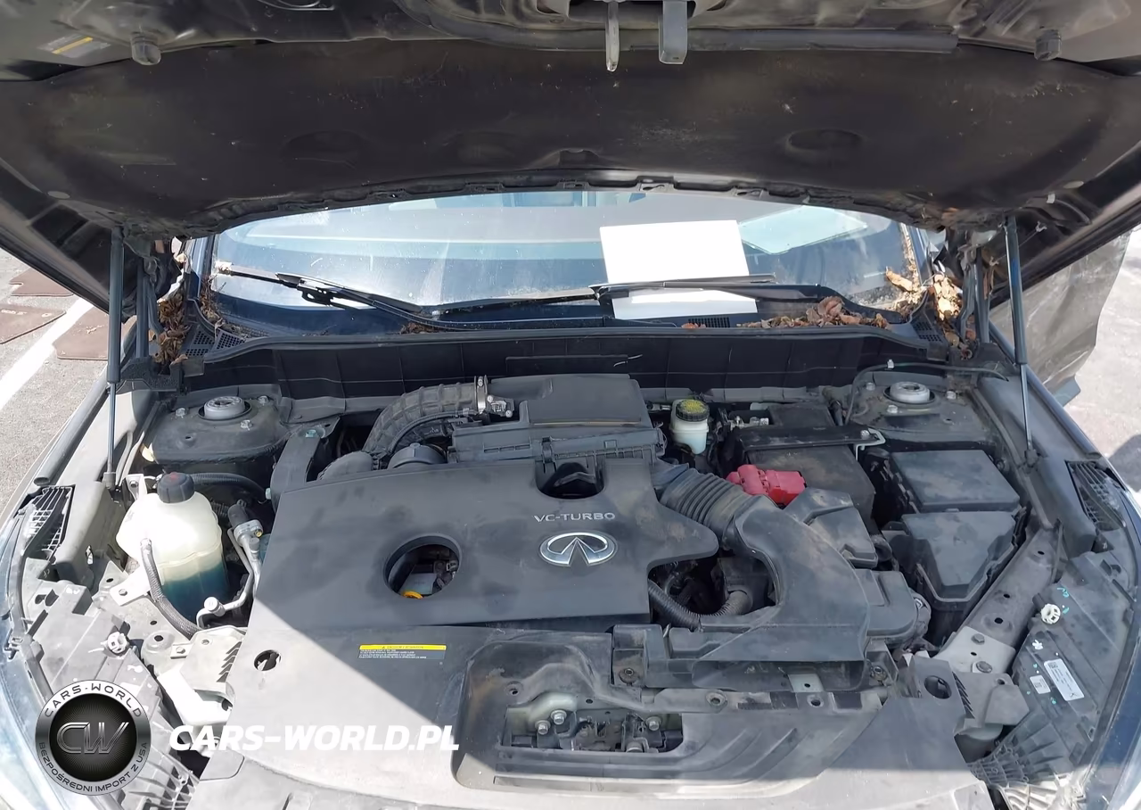 2019 Infiniti Qx50 Essential VIN:3PCAJ5M11KF125143 - 10