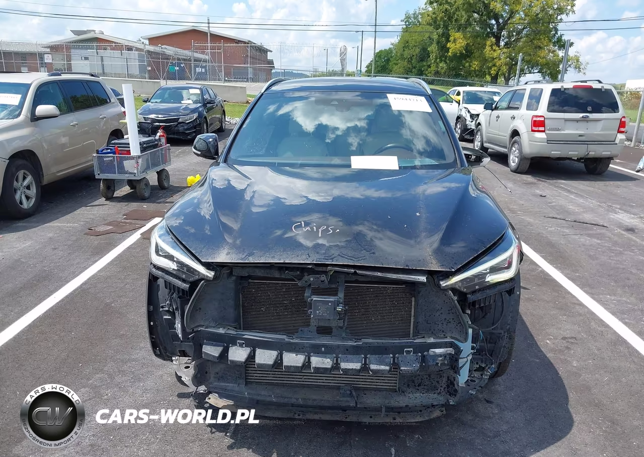 2019 Infiniti Qx50 Essential VIN:3PCAJ5M11KF125143 - 13