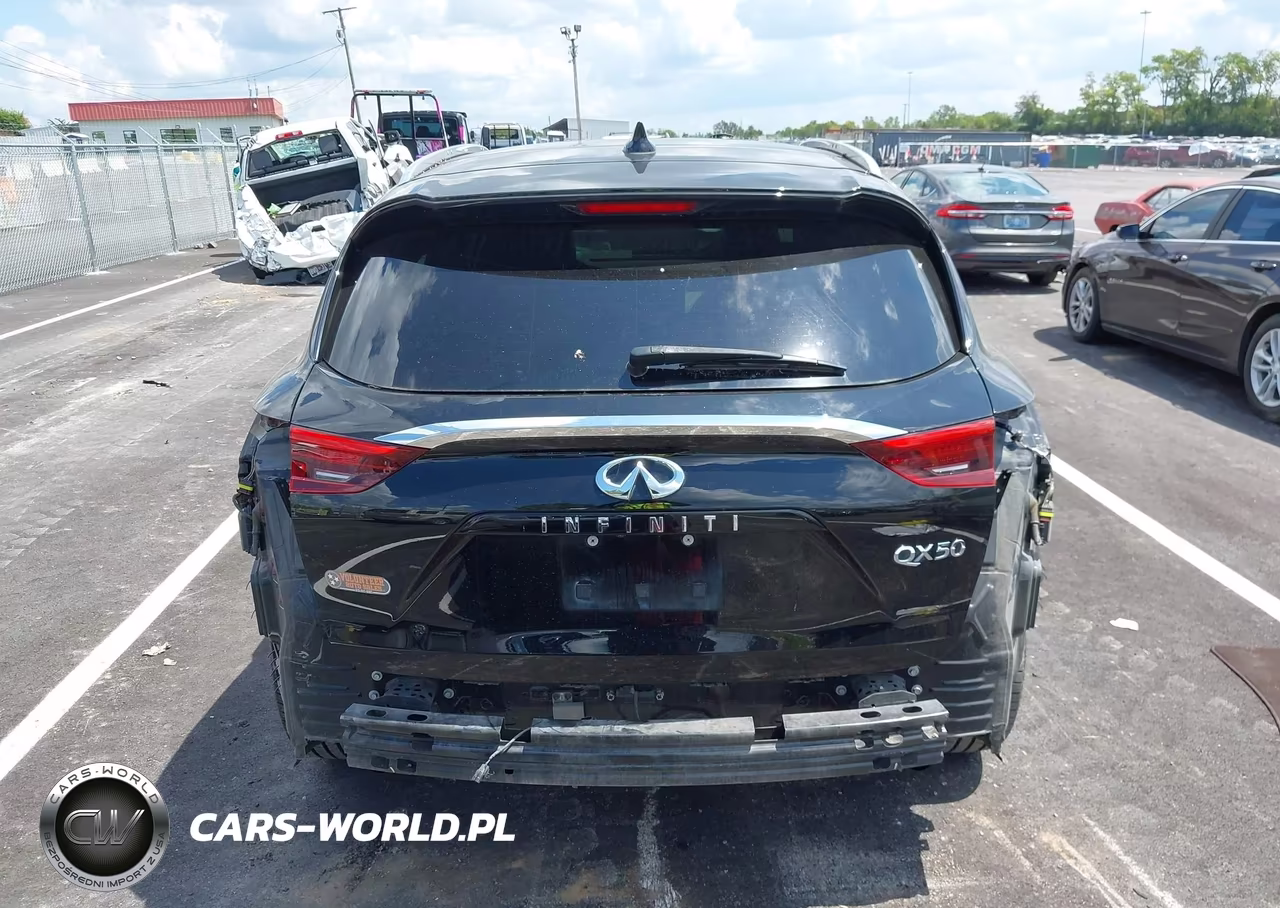 2019 Infiniti Qx50 Essential VIN:3PCAJ5M11KF125143 - 17
