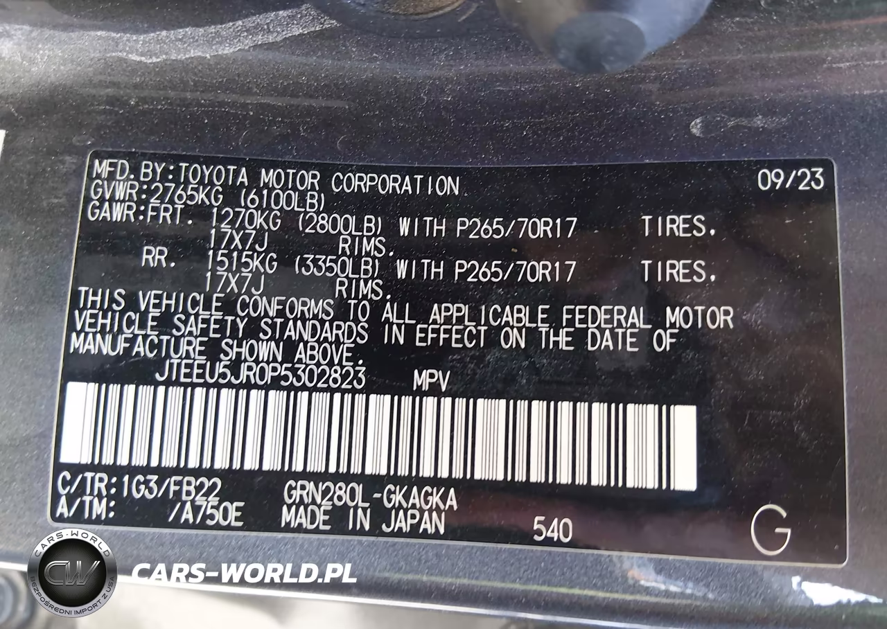 2023 Toyota 4Runner Sr5 VIN:JTEEU5JR0P5302823 - 9