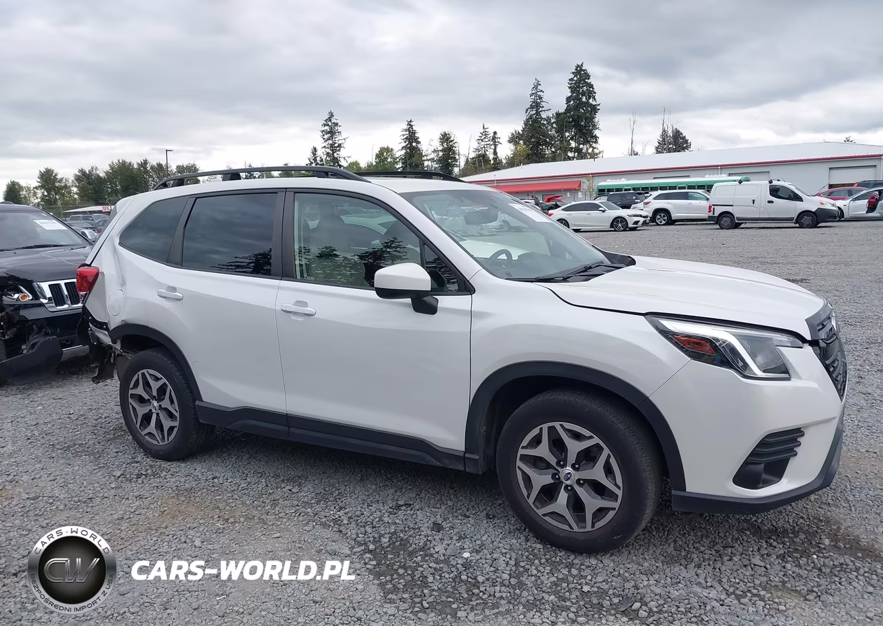2023 Subaru Forester Premium VIN:JF2SKAEC2PH501352 - 13