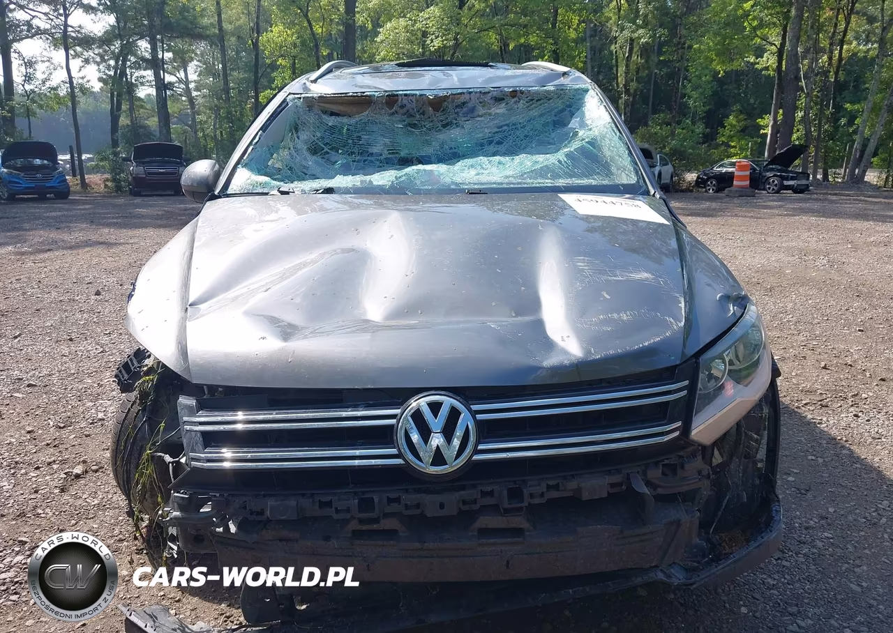 2015 Volkswagen Tiguan Se VIN:WVGBV7AX2FW611700 - 12