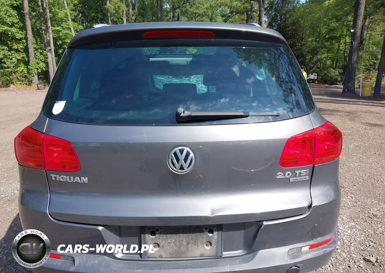 2015 Volkswagen Tiguan Se VIN:WVGBV7AX2FW611700 - 16