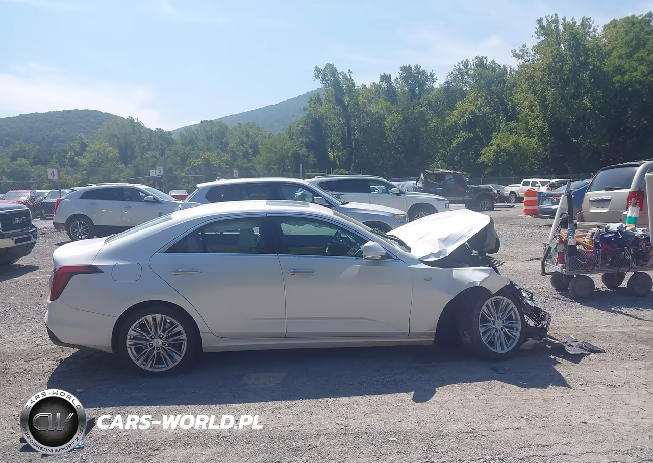 2020 Cadillac Ct4 Premium Luxury VIN:1G6DF5RK7L0150938 - 12