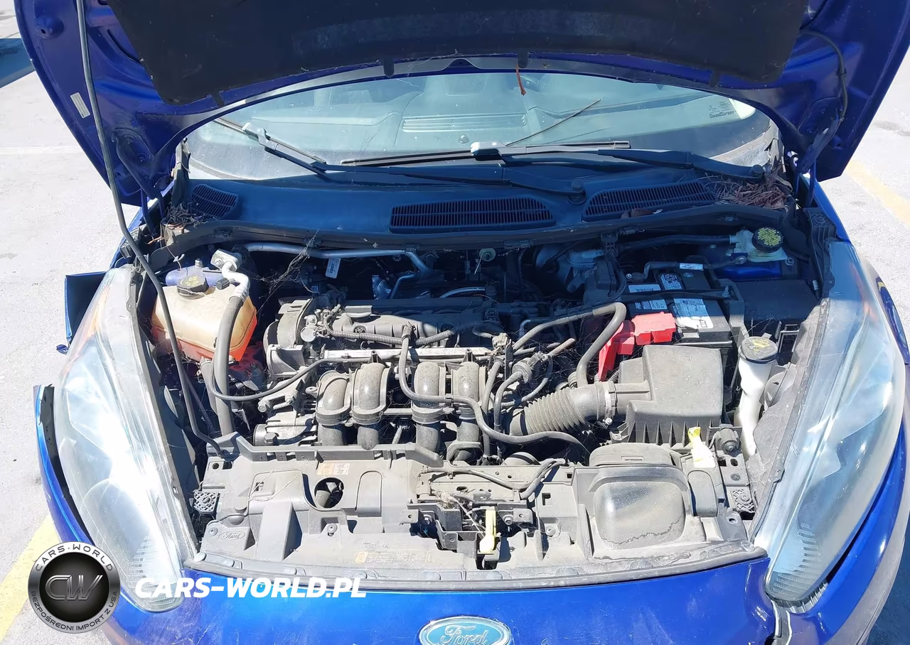 2014 Ford Fiesta Se VIN:3FADP4BJ1EM154298 - 10