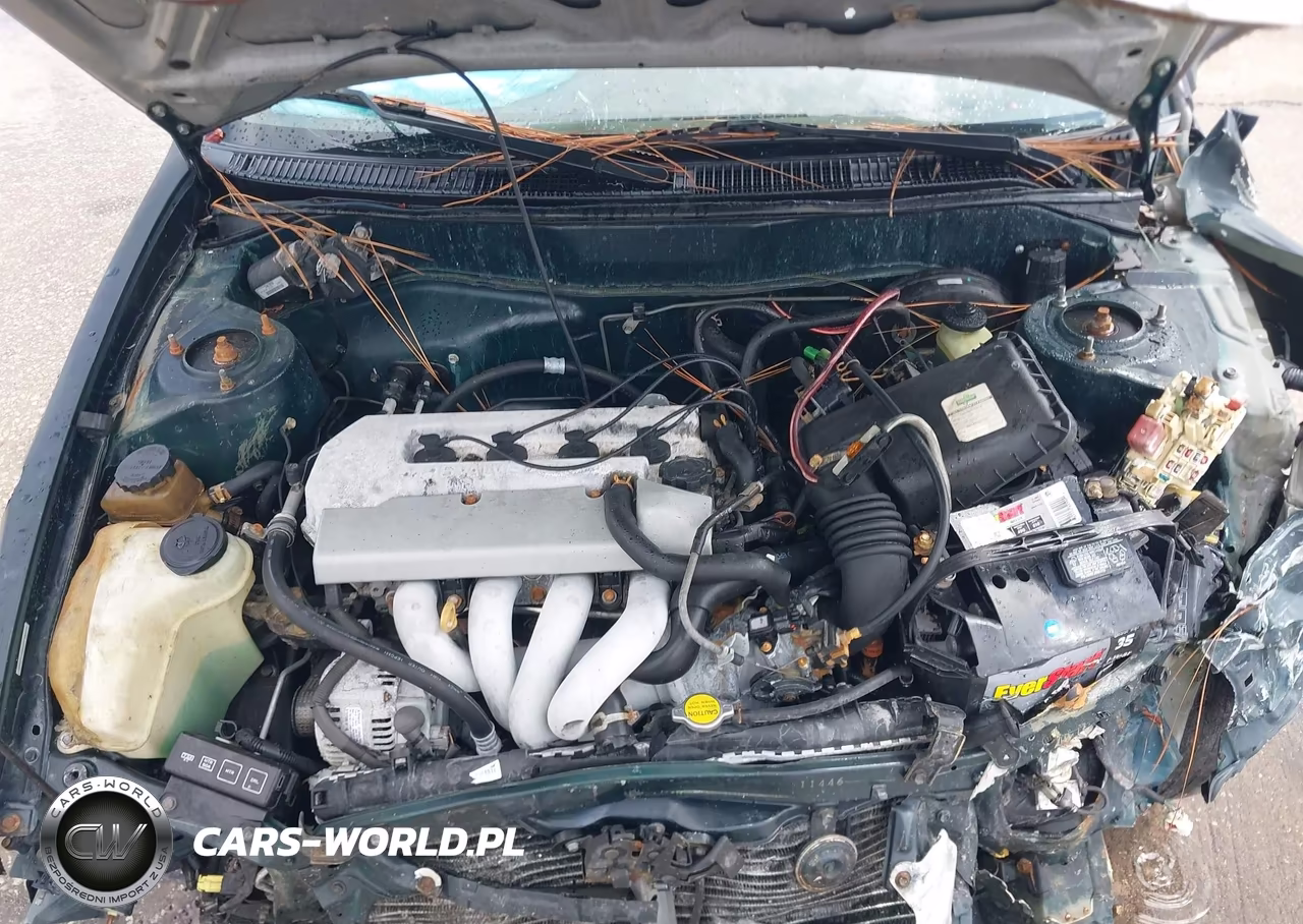 1999 Toyota Corolla Ce VIN:1NXBR12E7XZ300114 - 10