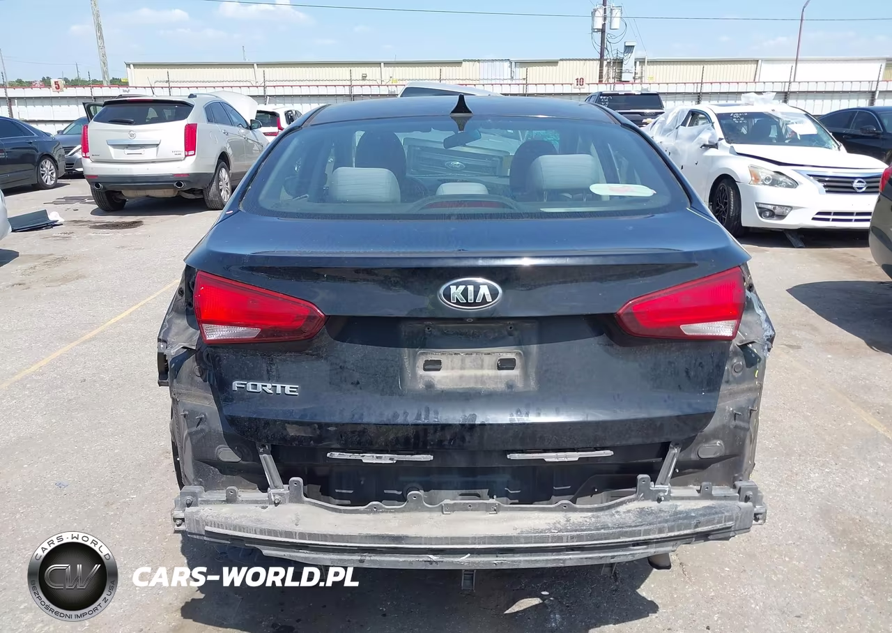 2017 Kia Forte Lx VIN:3KPFL4A73HE099632 - 17