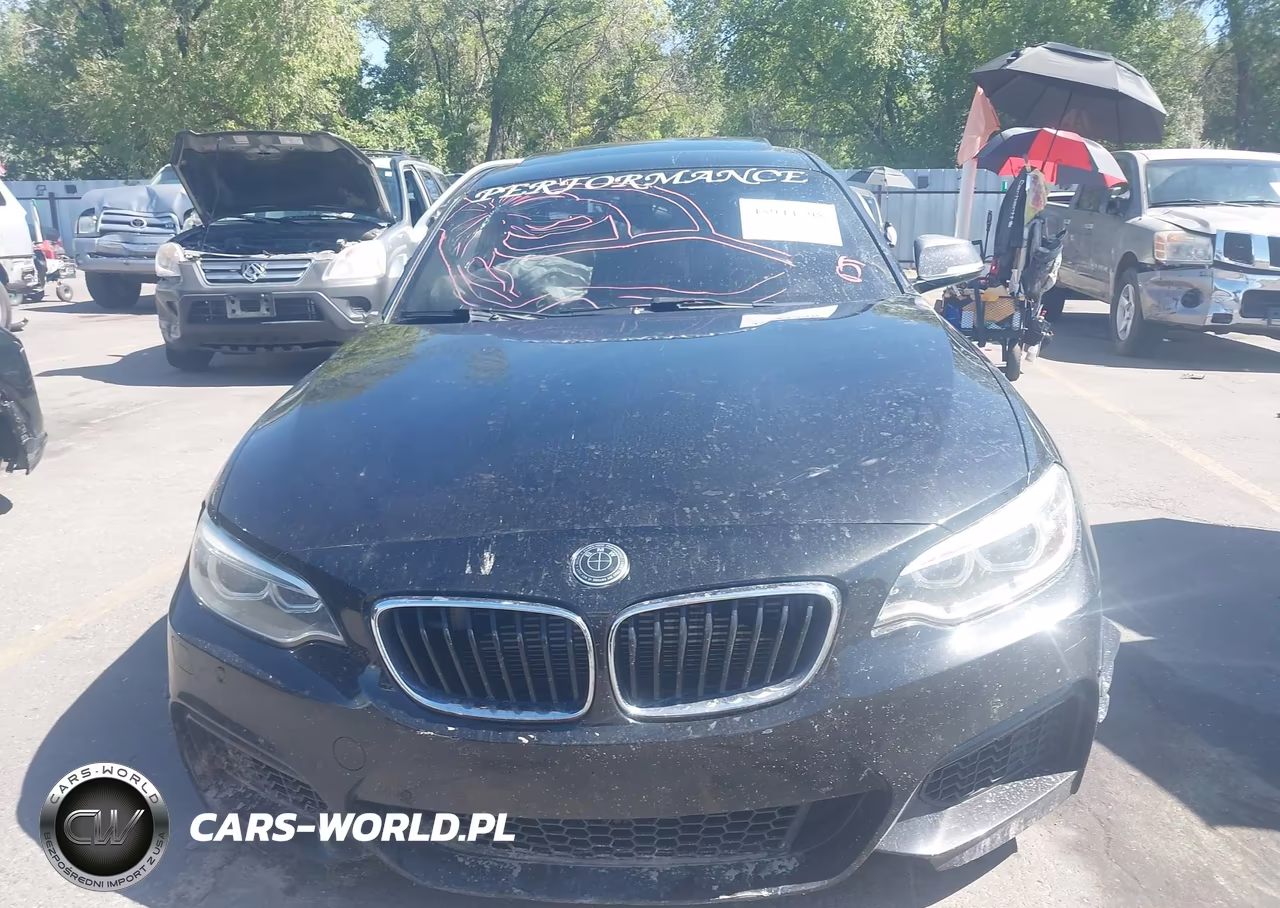 2016 BMW M235I xDrive VIN:WBA1J9C57GV695987 - 12