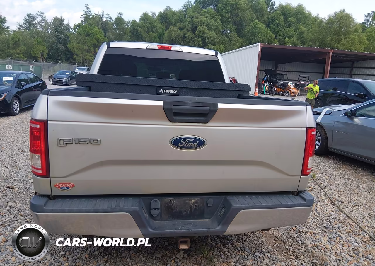 2017 Ford F-150 Xlt VIN:1FTEW1C80HFA51003 - 17