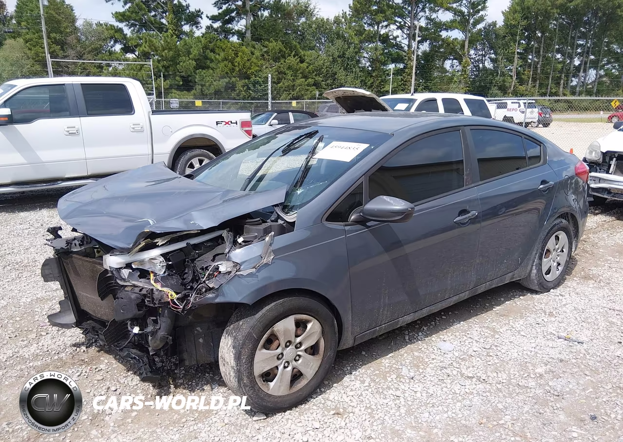 2016 Kia Forte Lx VIN:KNAFK4A6XG5569737 - 2