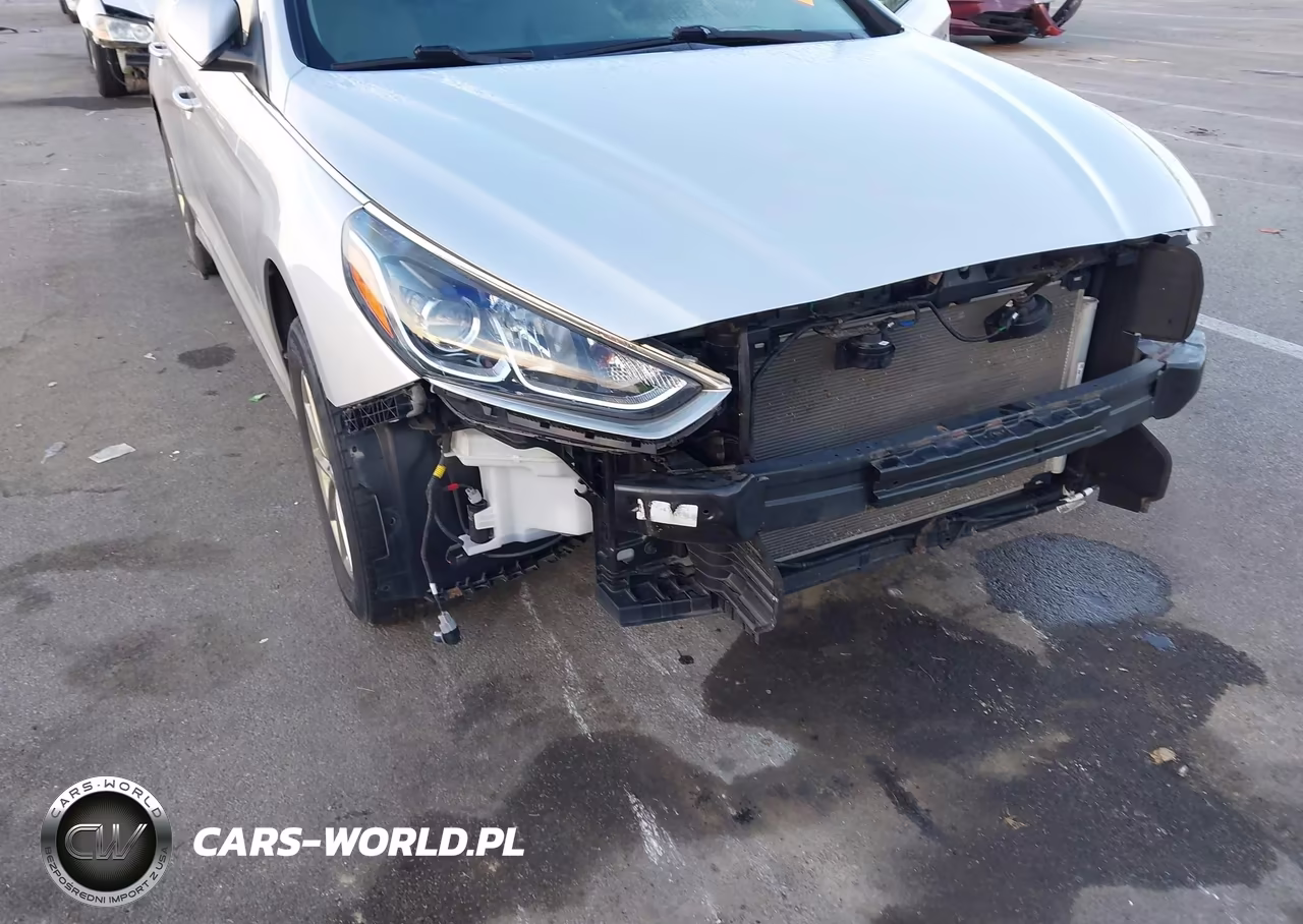 2019 Hyundai Sonata Se VIN:5NPE24AF4KH788149 - 18